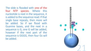 The slide is flooded with one of the
four NTP species. Where this
nucleotide is next in the sequence, it
isadded to the sequence read. If that
single base repeats, then more will
be added. So if we flood with
Guanine bases, and the next in a
sequence is G, one G will be added,
however if the next part of the
sequence is GGGG, then four Gs will
beadded.
 