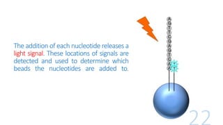 The addition of each nucleotide releases a
light signal. These locations of signals are
detected and used to determine which
beads the nucleotides are added to.
 