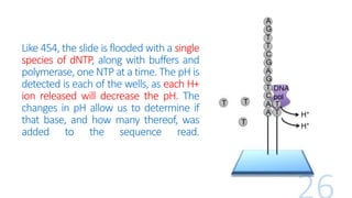 Like 454, the slide is flooded with a single
species of dNTP, along with buffers and
polymerase, one NTP at a time. The pH is
detected is each of the wells, as each H+
ion released will decrease the pH. The
changes in pH allow us to determine if
that base, and how many thereof, was
added to the sequence read.
 