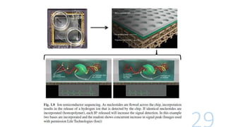Next Generation Sequence Analysis and genomics