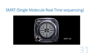 SMRT (Single Molecule Real-Time sequencing)
 