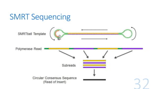 SMRT Sequencing
 
