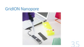 GridION Nanopore
 