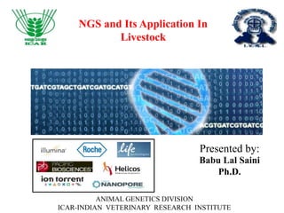 Presented by:
Babu Lal Saini
Ph.D.
NGS and Its Application In
Livestock
ANIMAL GENETICS DIVISION
ICAR-INDIAN VETERINARY RESEARCH INSTITUTE
 