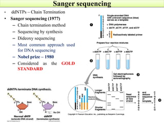 Sanger sequencing
• ddNTPs – Chain Termination
• Sanger sequencing (1977)
– Chain termination method
– Sequencing by synth...
