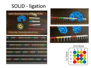 SOLiD - ligation
 