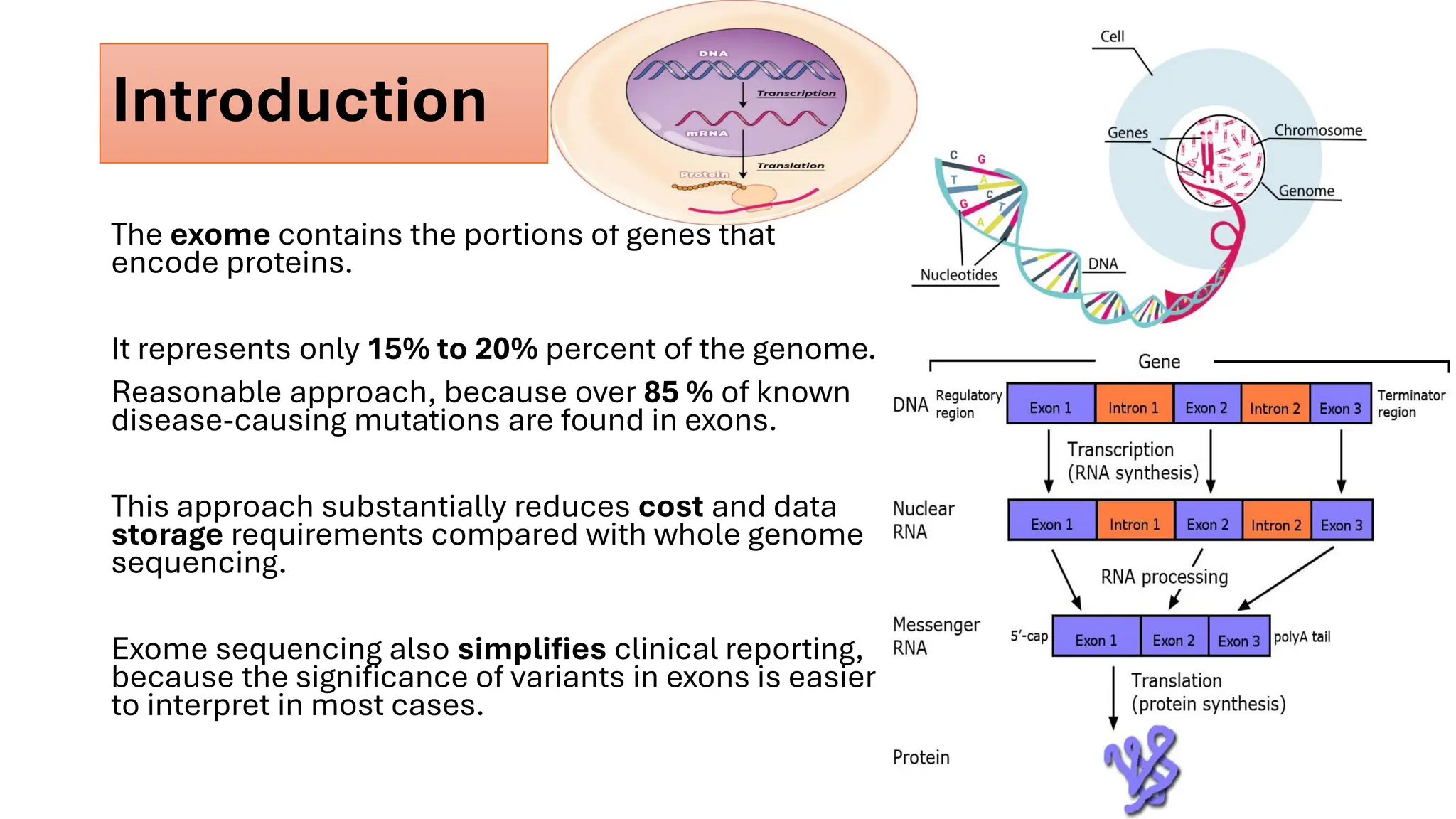 Introduction
The exome contains the portions of genes that
encode proteins.
It represents only 15% to 20% percent of the genome.
Reasonable approach, because over 85 % of known
disease-causing mutations are found in exons.
This approach substantially reduces cost and data
storage requirements compared with whole genome
sequencing.
Exome sequencing also simplifies clinical reporting,
because the significance of variants in exons is easier
to interpret in most cases.