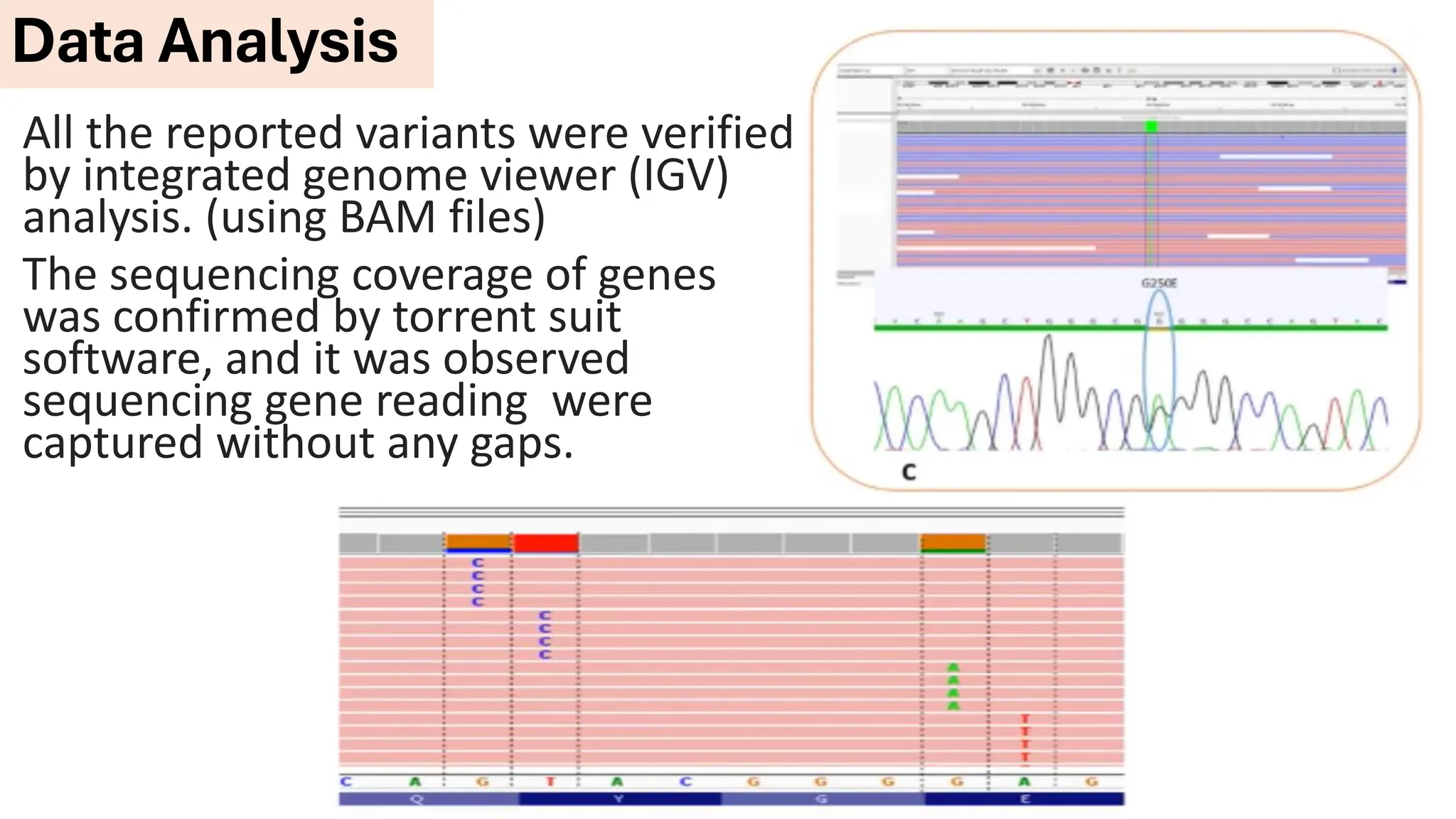 All the reported variants were verified
by integrated genome viewer (IGV)
analysis. (using BAM files)
The sequencing coverage of genes
was confirmed by torrent suit
software, and it was observed
sequencing gene reading were
captured without any gaps.
Data Analysis