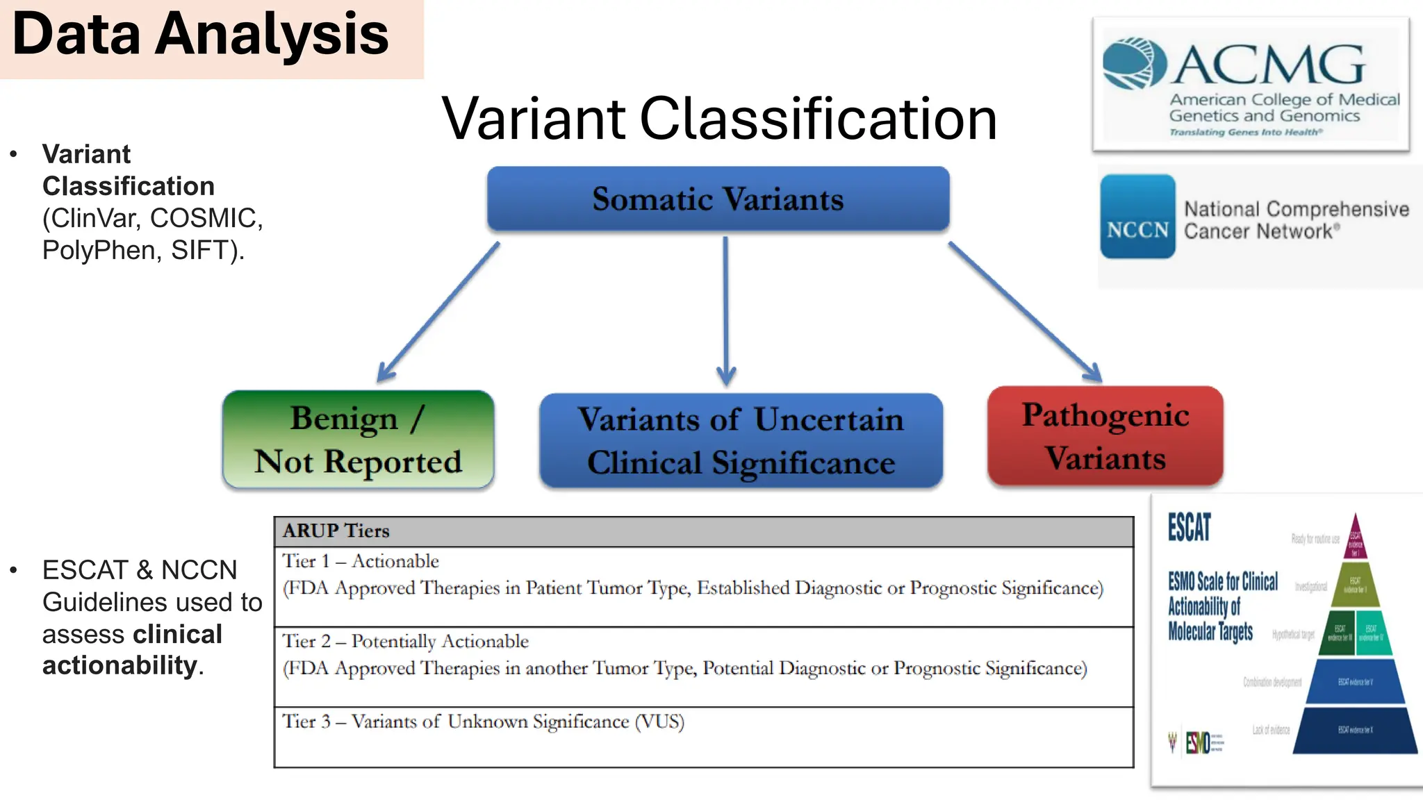 Variant Classification
Data Analysis
• Variant
Classification
(ClinVar, COSMIC,
PolyPhen, SIFT).
• ESCAT & NCCN
Guidelines used to
assess clinical
actionability.