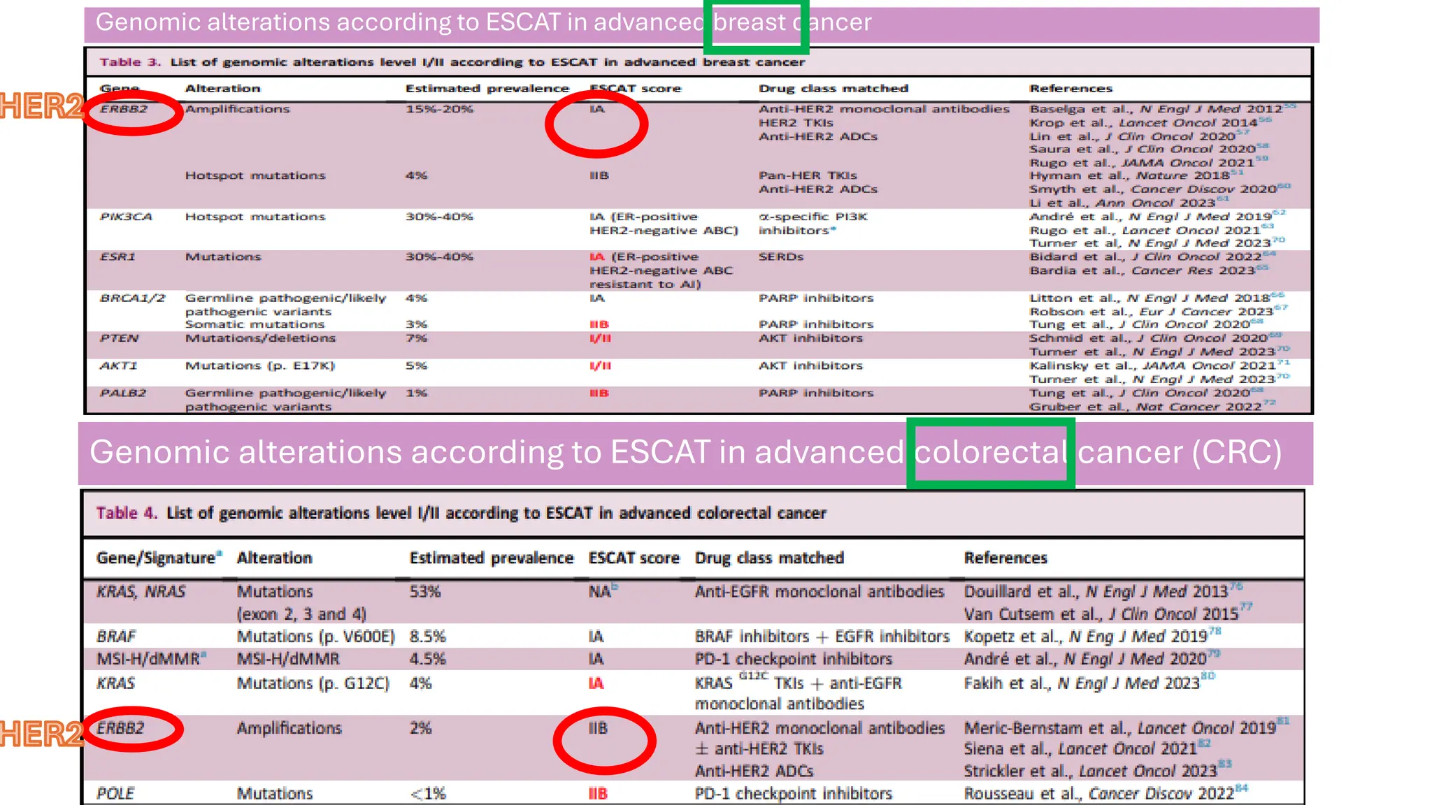 Genomic alterations according to ESCAT in advanced breast cancer
Genomic alterations according to ESCAT in advanced colorectal cancer (CRC)
HER2
HER2