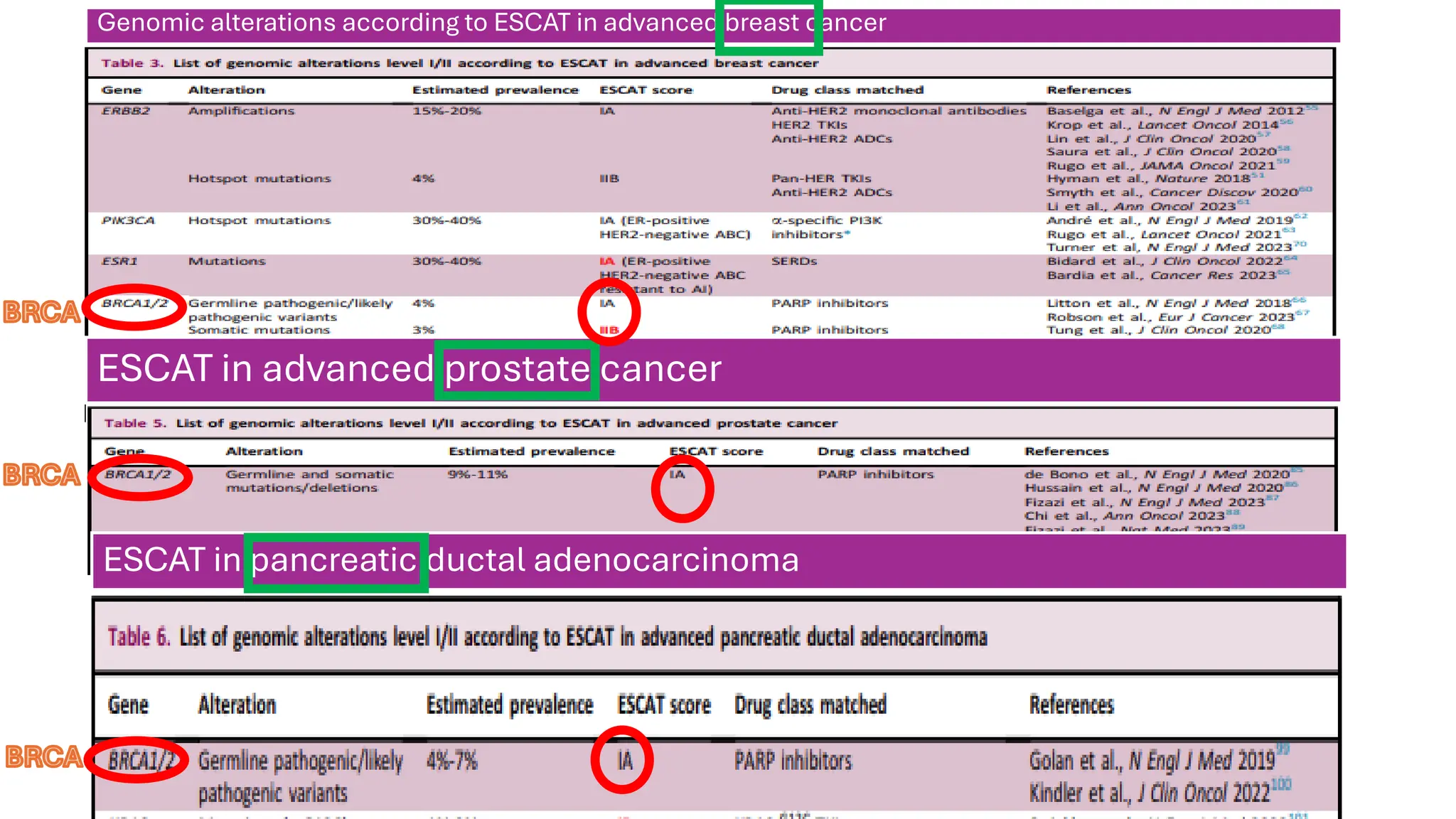 Genomic alterations according to ESCAT in advanced breast cancer
BRCA
ESCAT in advanced prostate cancer
ESCAT in pancreatic ductal adenocarcinoma
BRCA
BRCA
