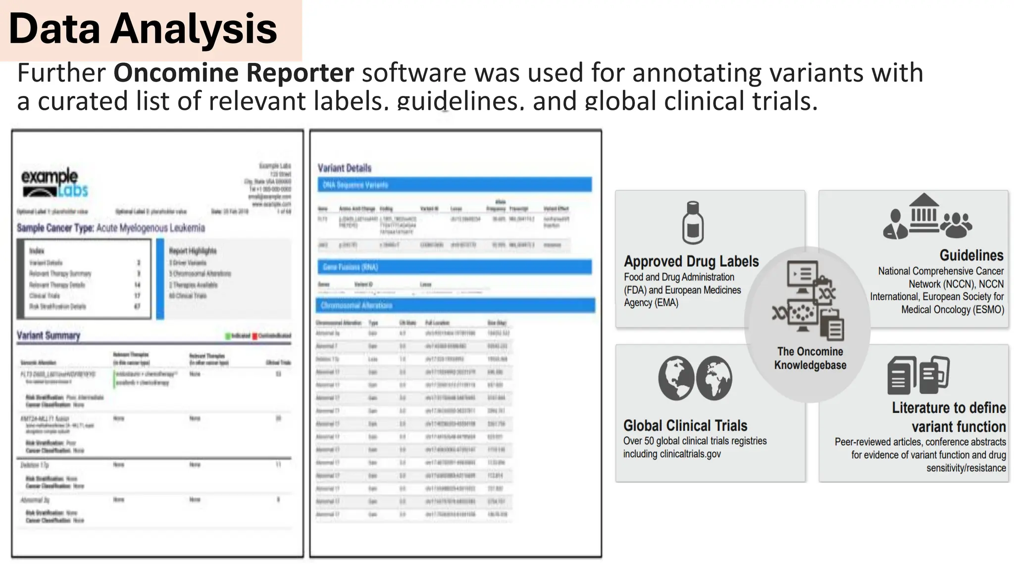 Further Oncomine Reporter software was used for annotating variants with
a curated list of relevant labels, guidelines, and global clinical trials.
Data Analysis