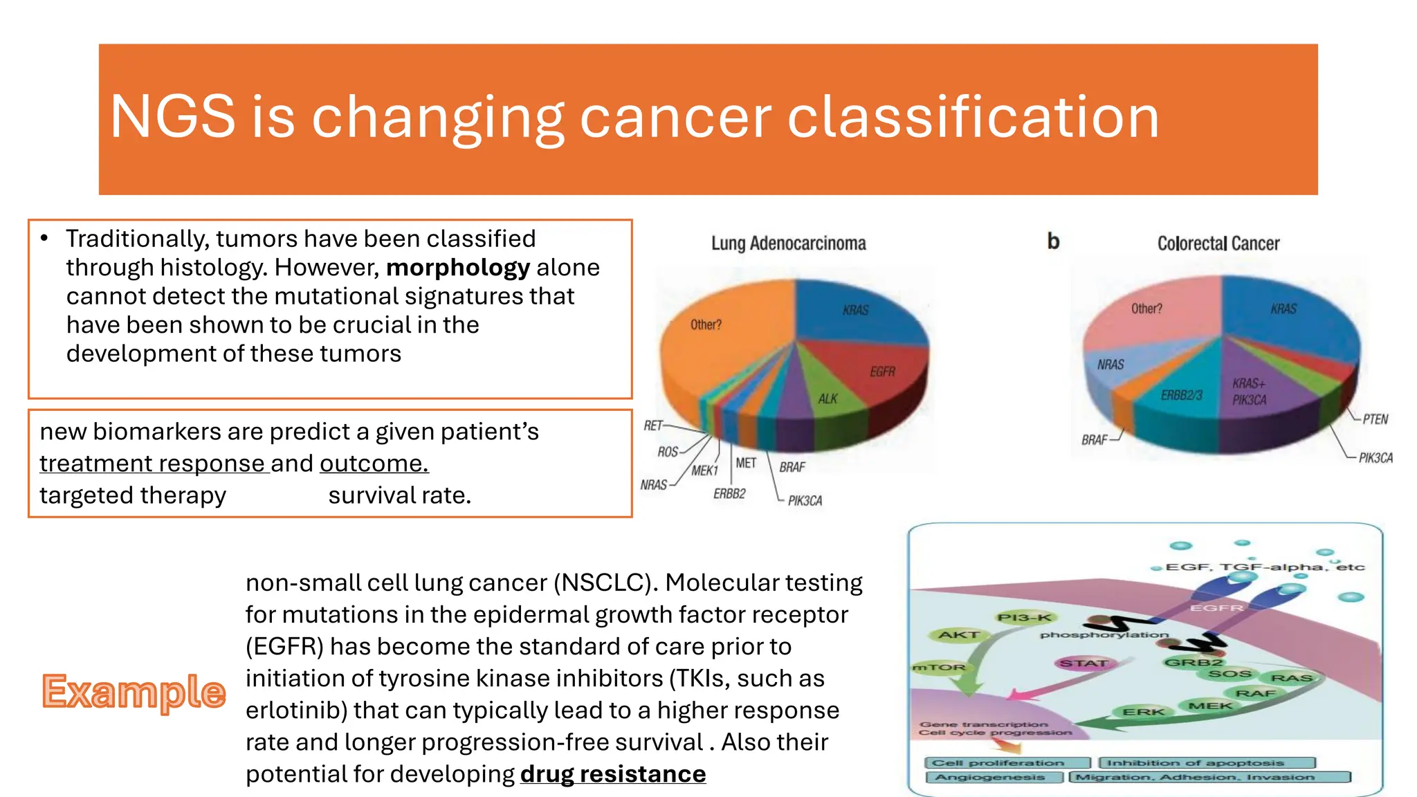 NGS is changing cancer classification
• Traditionally, tumors have been classified
through histology. However, morphology alone
cannot detect the mutational signatures that
have been shown to be crucial in the
development of these tumors
new biomarkers are predict a given patient’s
treatment response and outcome.
targeted therapy survival rate.
non-small cell lung cancer (NSCLC). Molecular testing
for mutations in the epidermal growth factor receptor
(EGFR) has become the standard of care prior to
initiation of tyrosine kinase inhibitors (TKIs, such as
erlotinib) that can typically lead to a higher response
rate and longer progression-free survival . Also their
potential for developing drug resistance
Example