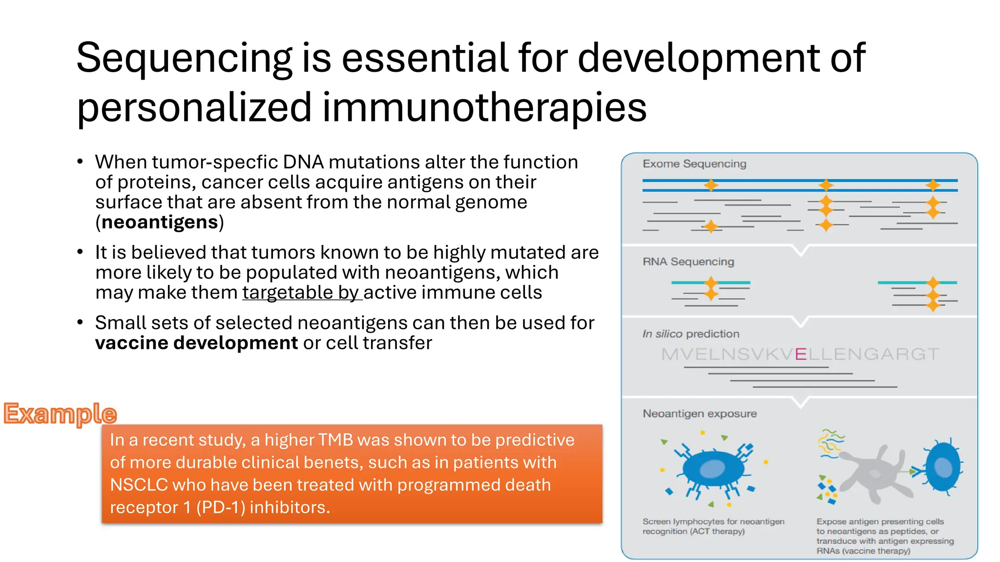 Sequencing is essential for development of
personalized immunotherapies
• When tumor-specfic DNA mutations alter the function
of proteins, cancer cells acquire antigens on their
surface that are absent from the normal genome
(neoantigens)
• It is believed that tumors known to be highly mutated are
more likely to be populated with neoantigens, which
may make them targetable by active immune cells
• Small sets of selected neoantigens can then be used for
vaccine development or cell transfer
In a recent study, a higher TMB was shown to be predictive
of more durable clinical benets, such as in patients with
NSCLC who have been treated with programmed death
receptor 1 (PD-1) inhibitors.
Example