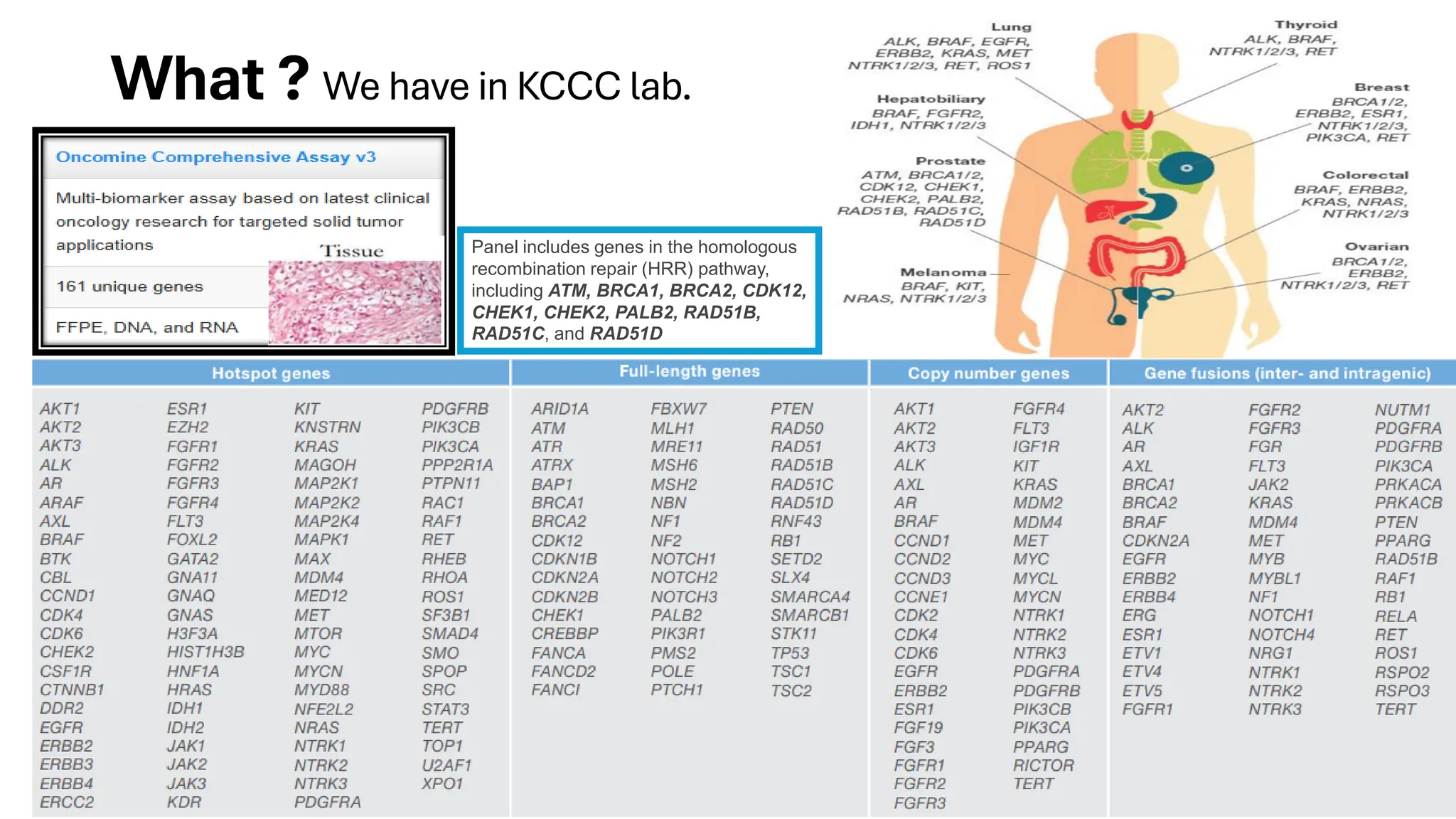 What ? We have in KCCC lab.
Panel includes genes in the homologous
recombination repair (HRR) pathway,
including ATM, BRCA1, BRCA2, CDK12,
CHEK1, CHEK2, PALB2, RAD51B,
RAD51C, and RAD51D