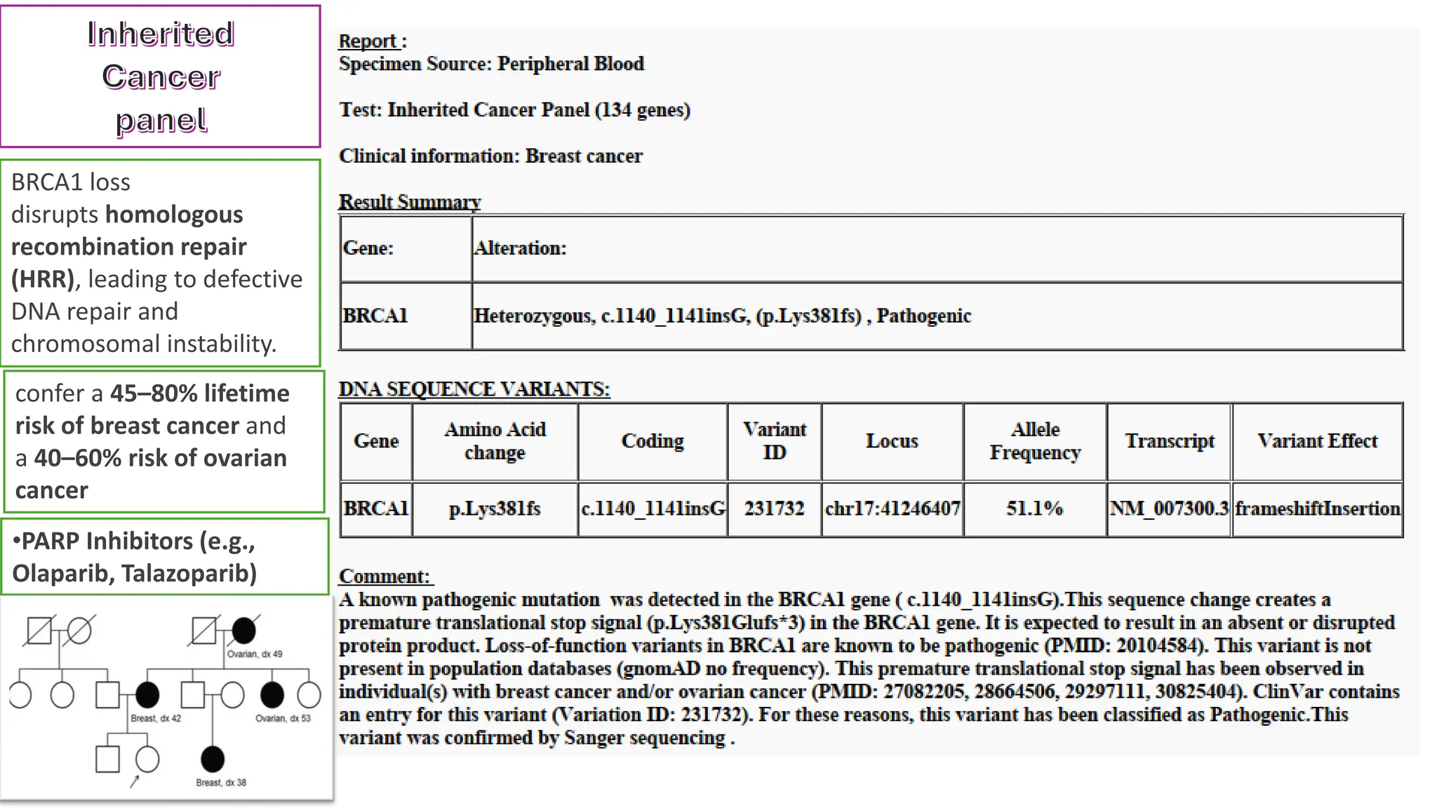 Inherited
Cancer
panel
confer a 45–80% lifetime
risk of breast cancer and
a 40–60% risk of ovarian
cancer
BRCA1 loss
disrupts homologous
recombination repair
(HRR), leading to defective
DNA repair and
chromosomal instability.
•PARP Inhibitors (e.g.,
Olaparib, Talazoparib)