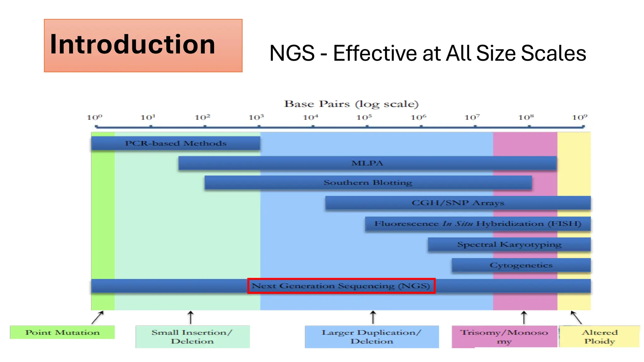 NGS - Effective at All Size Scales
Introduction