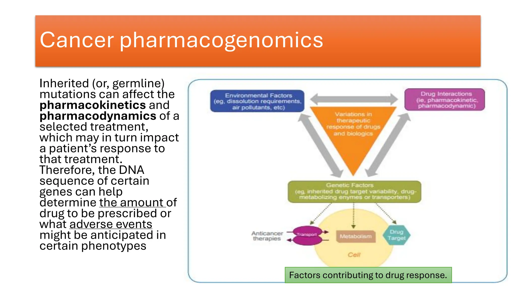 Cancer pharmacogenomics
Inherited (or, germline)
mutations can affect the
pharmacokinetics and
pharmacodynamics of a
selected treatment,
which may in turn impact
a patient’s response to
that treatment.
Therefore, the DNA
sequence of certain
genes can help
determine the amount of
drug to be prescribed or
what adverse events
might be anticipated in
certain phenotypes
Factors contributing to drug response.