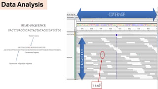 NGS application in Kuwait cancer control center | PDF