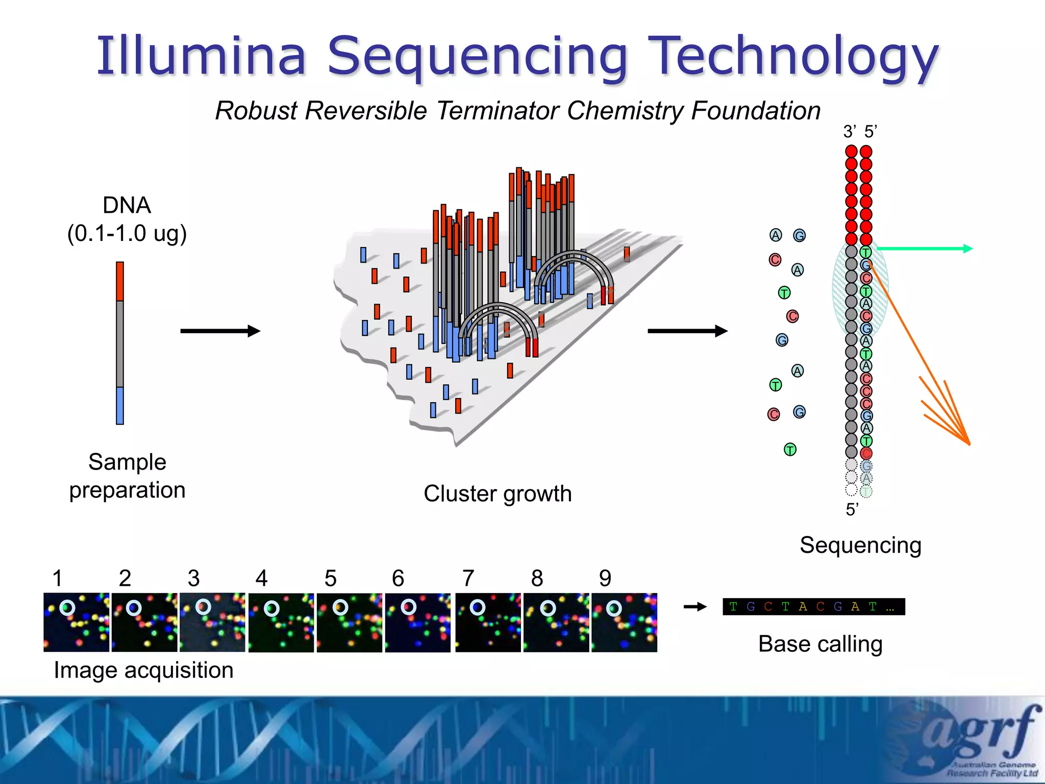 Illumina Sequencing Technology
                       Robust Reversible Terminator Chemistry Foundation
                                                                                   3’ 5’



        DNA
    (0.1-1.0 ug)                                                    A       G
                                                                                        T
                                                                    C                   G
                                                                            A
                                                                                        C
                                                                        T               T
                                                                                        A
                                                                            C           C
                                                                                        G
                                                                     G                  A
                                                                                        T
                                                                            A           A
                                                                                        C
                                                                    T                   C
                                                                                        C
                                                                    C       G           G
                                                                                        A
                                                                                        T
                                                                        T               C
      Sample                                                                            G
                                                                                        A
    preparation                          Cluster growth                                 T
                                                                                   5’

                                                                                Sequencing
1        2         3      4    5     6      7      8      9
                                                                T G C T A C G A T …

                                                                   Base calling
Image acquisition
 