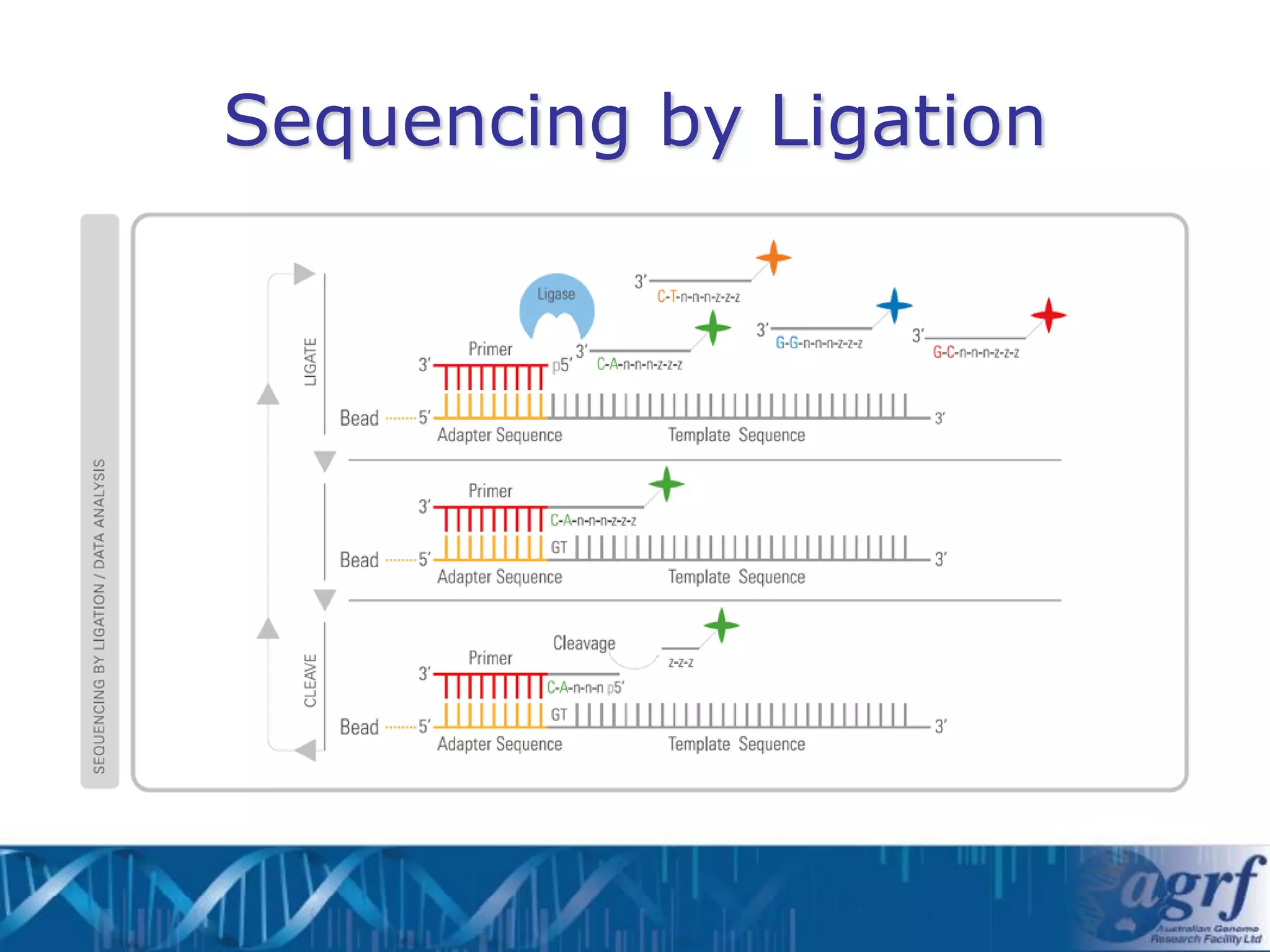 Sequencing by Ligation
 