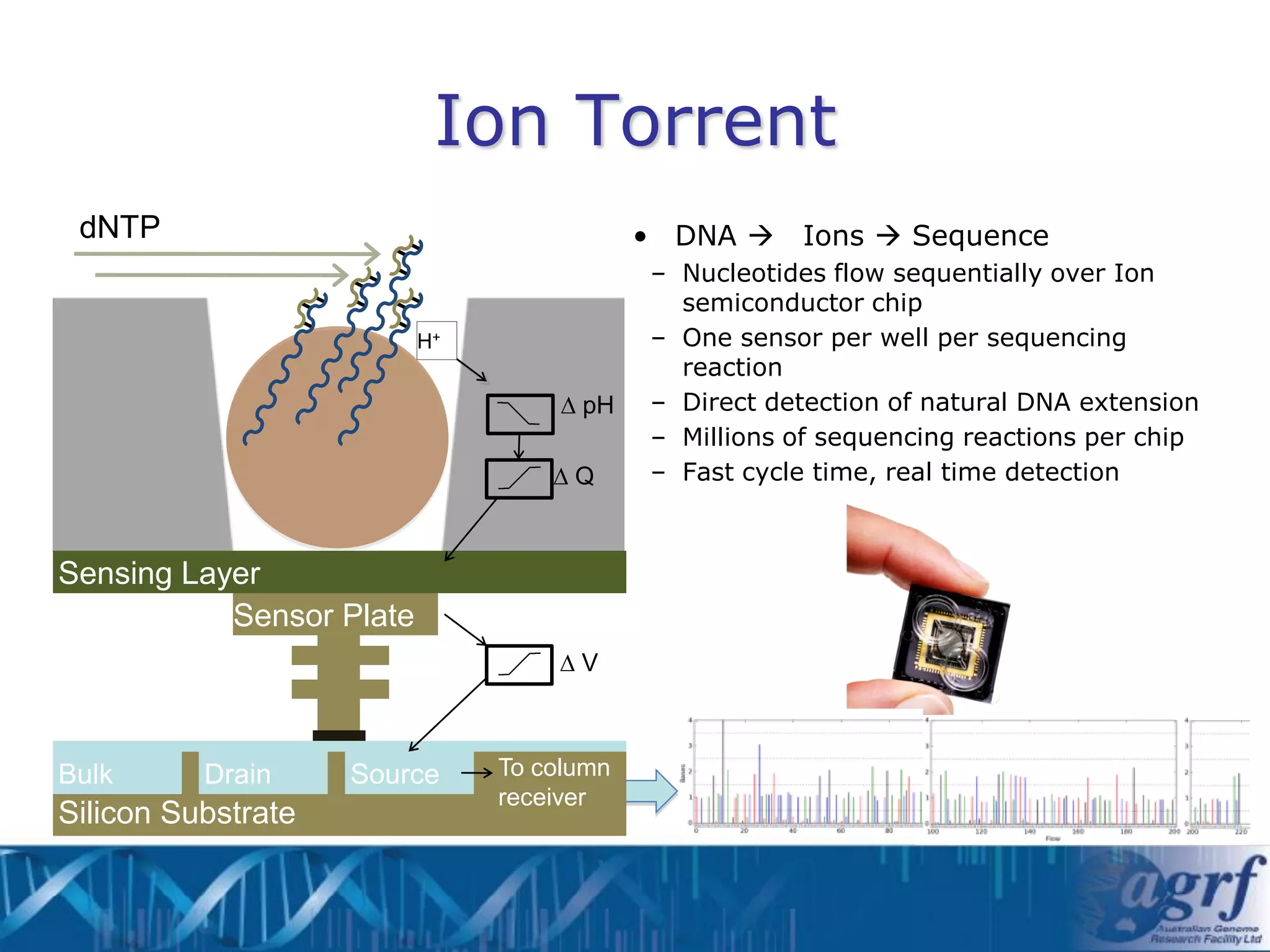 Ion Torrent
 dNTP                                      • DNA Ions  Sequence
                                           – Nucleotides flow sequentially over Ion
                                             semiconductor chip
                          H+               – One sensor per well per sequencing
                                             reaction
                                    ∆ pH   – Direct detection of natural DNA extension
                                           – Millions of sequencing reactions per chip
                                   ∆Q      – Fast cycle time, real time detection



Sensing Layer
           Sensor Plate
                                   ∆V



Bulk      Drain     Source     To column
                               receiver
Silicon Substrate
 