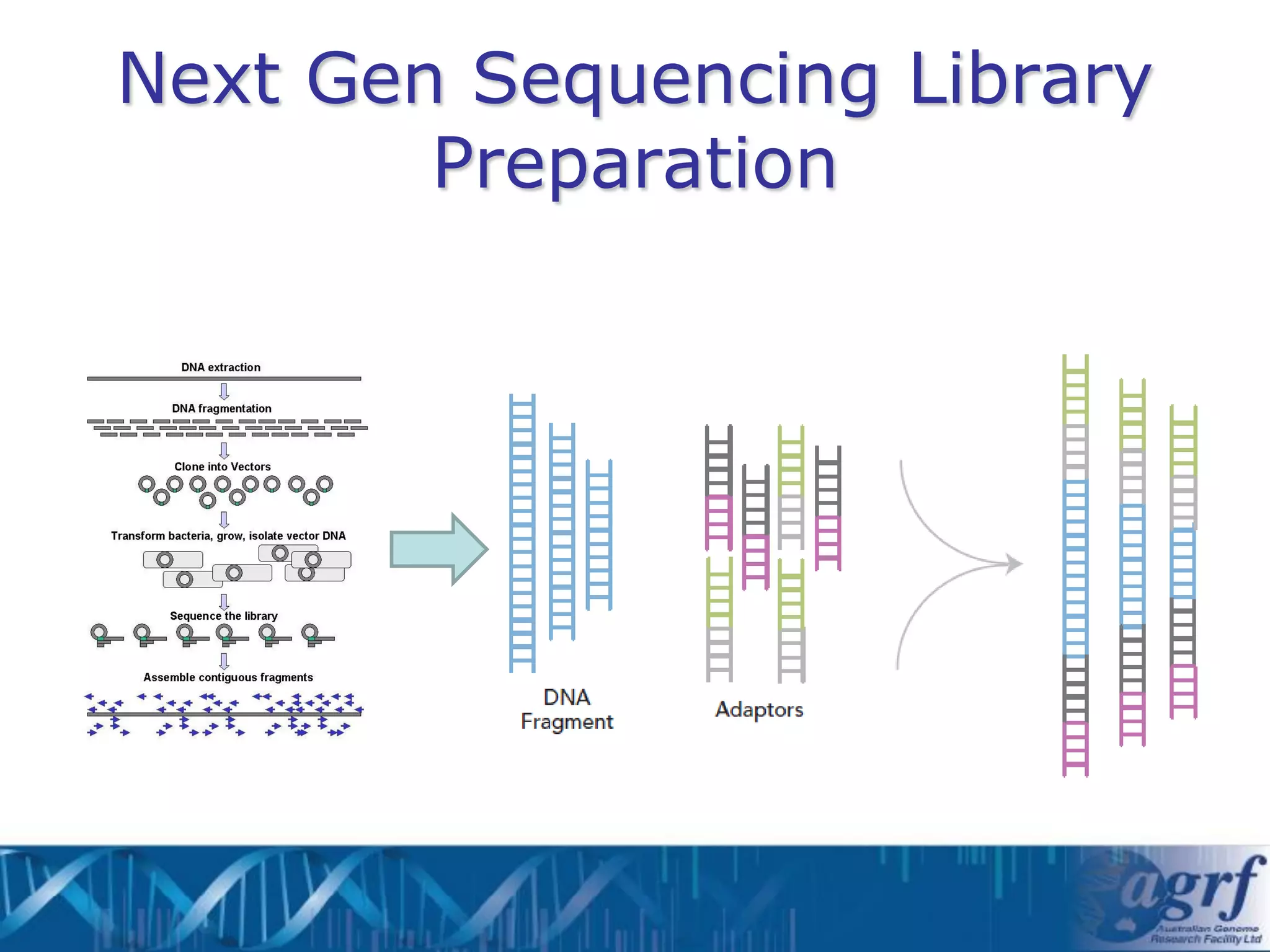 Next Gen Sequencing Library
        Preparation
 