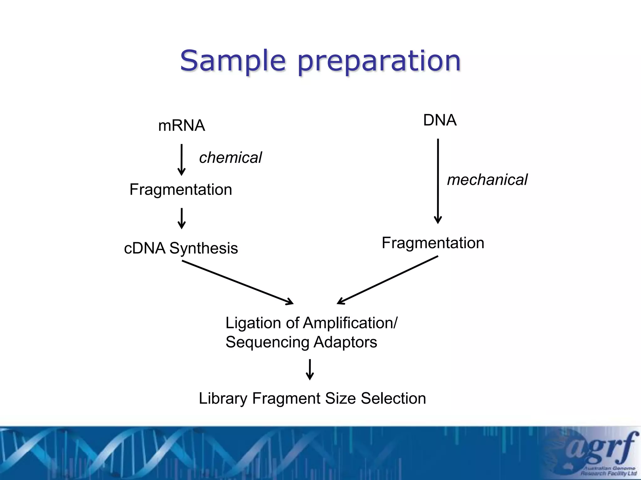 Sample preparation

    mRNA                                 DNA

         chemical
                                           mechanical
Fragmentation


cDNA Synthesis                     Fragmentation




            Ligation of Amplification/
            Sequencing Adaptors


         Library Fragment Size Selection
 
