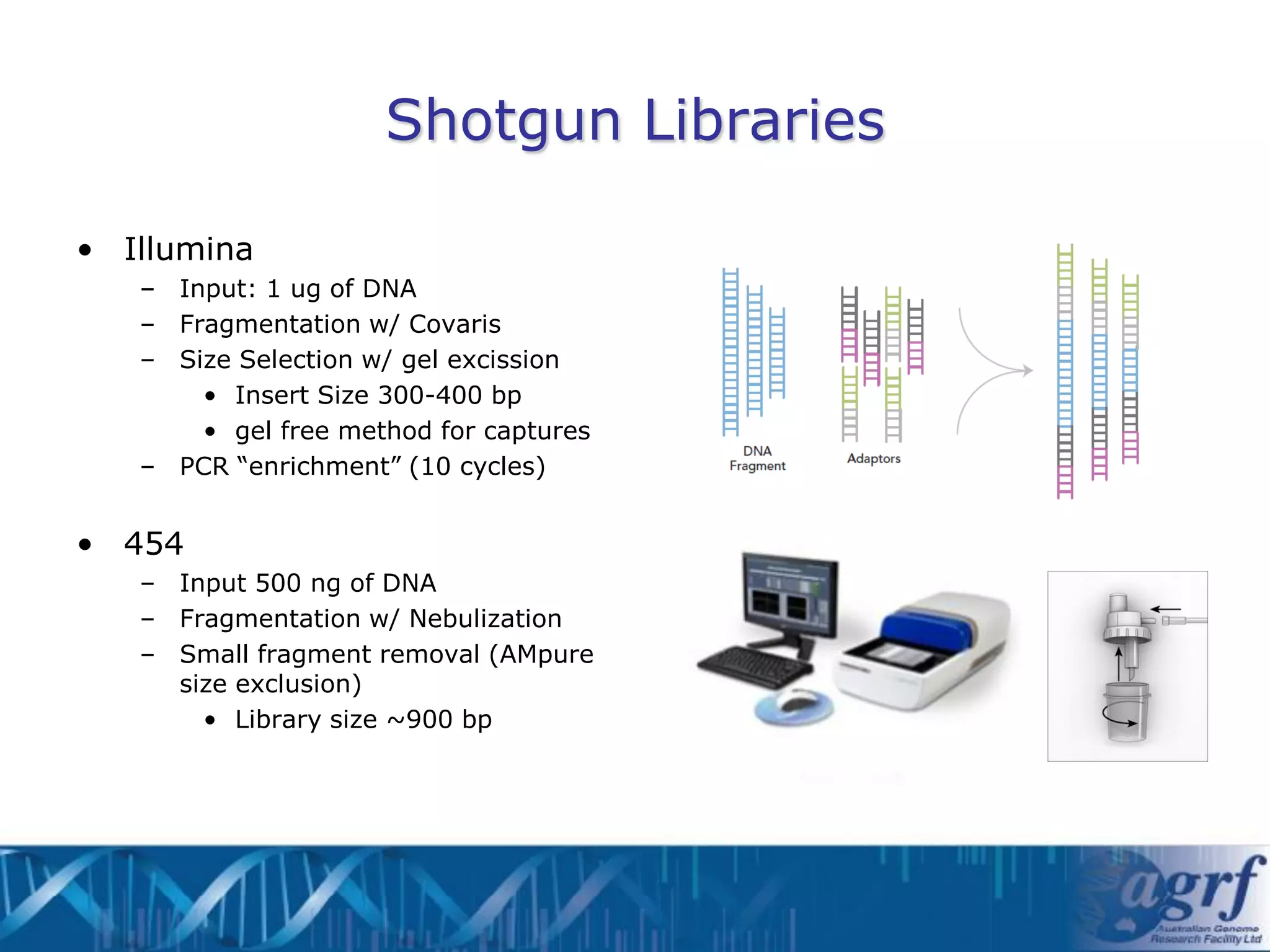 Shotgun Libraries

• Illumina
   – Input: 1 ug of DNA
   – Fragmentation w/ Covaris
   – Size Selection w/ gel excission
       • Insert Size 300-400 bp
       • gel free method for captures
   – PCR “enrichment” (10 cycles)


• 454
   – Input 500 ng of DNA
   – Fragmentation w/ Nebulization
   – Small fragment removal (AMpure
     size exclusion)
       • Library size ~900 bp
 