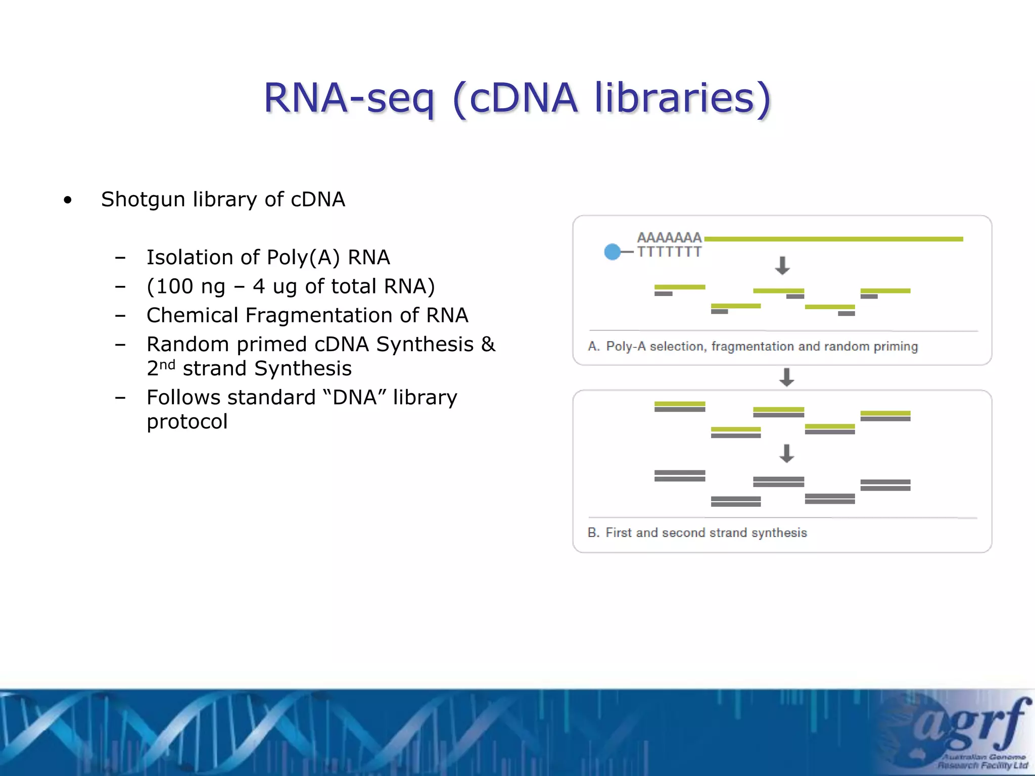 RNA-seq (cDNA libraries)

•   Shotgun library of cDNA

     – Isolation of Poly(A) RNA
     – (100 ng – 4 ug of total RNA)
     – Chemical Fragmentation of RNA
     – Random primed cDNA Synthesis &
       2nd strand Synthesis
     – Follows standard “DNA” library
       protocol
 