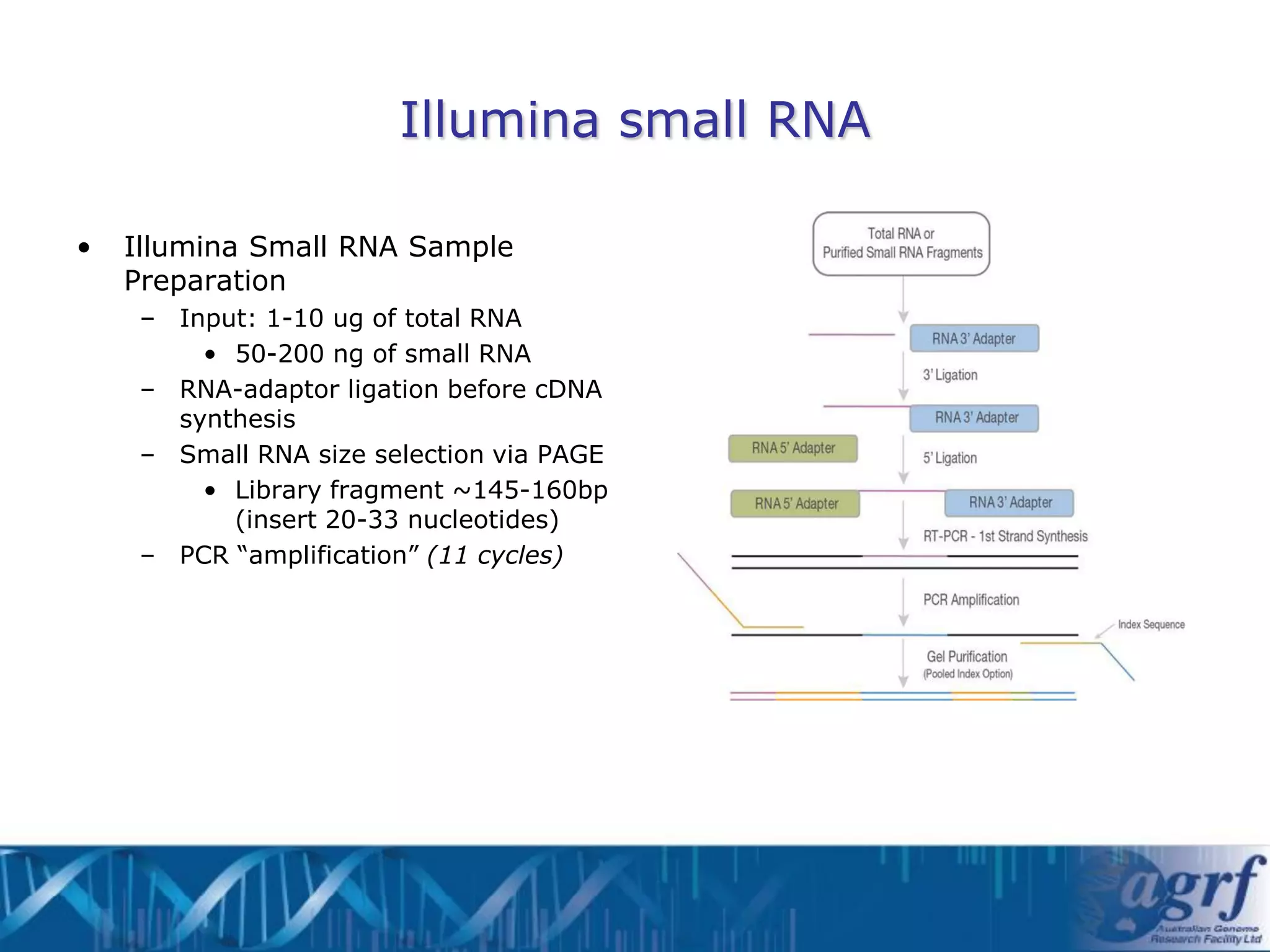 Illumina small RNA

•   Illumina Small RNA Sample
    Preparation
     – Input: 1-10 ug of total RNA
         • 50-200 ng of small RNA
     – RNA-adaptor ligation before cDNA
       synthesis
     – Small RNA size selection via PAGE
         • Library fragment ~145-160bp
           (insert 20-33 nucleotides)
     – PCR “amplification” (11 cycles)
 