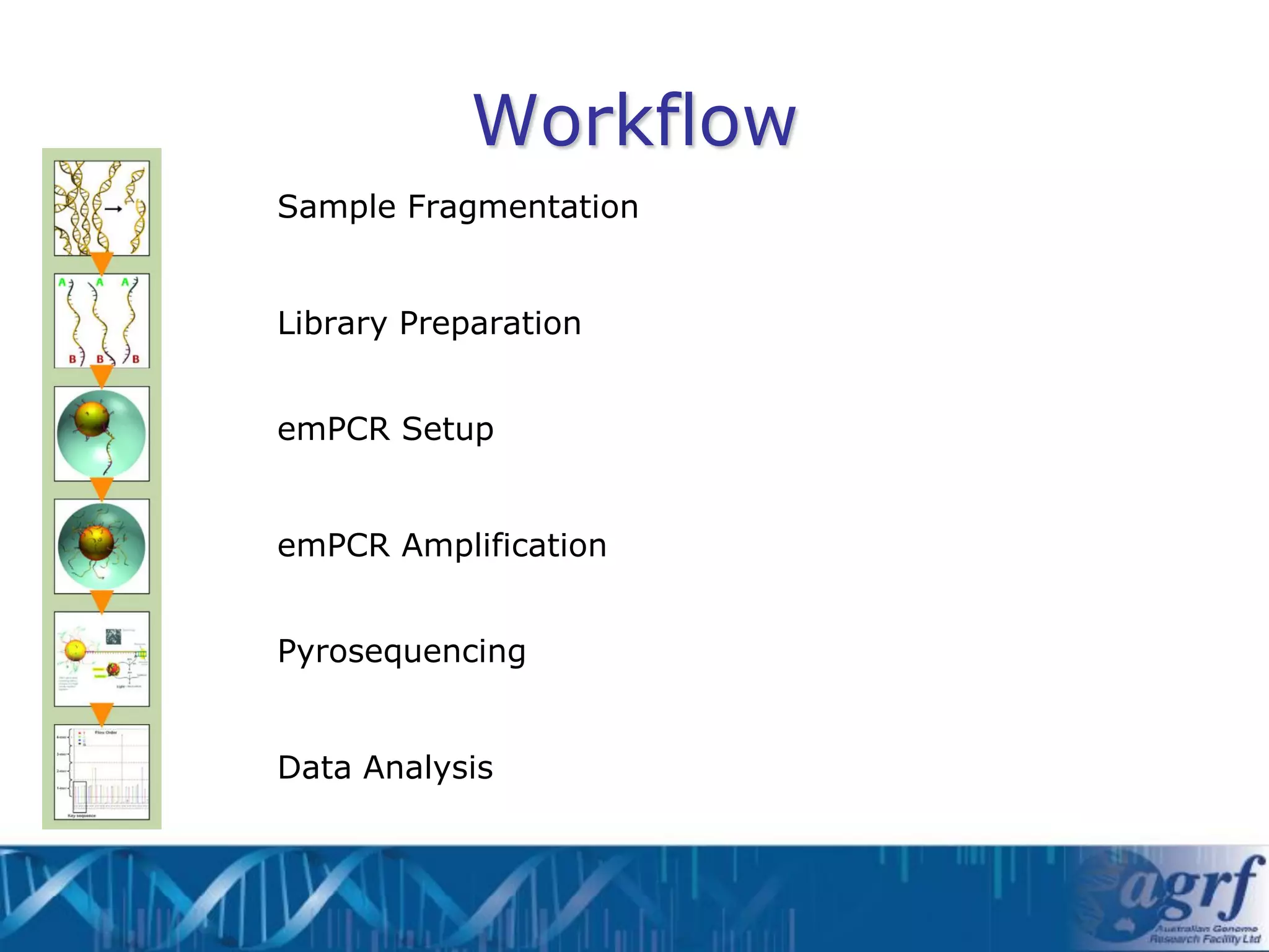 Workflow
Sample Fragmentation


Library Preparation


emPCR Setup


emPCR Amplification


Pyrosequencing


Data Analysis
 