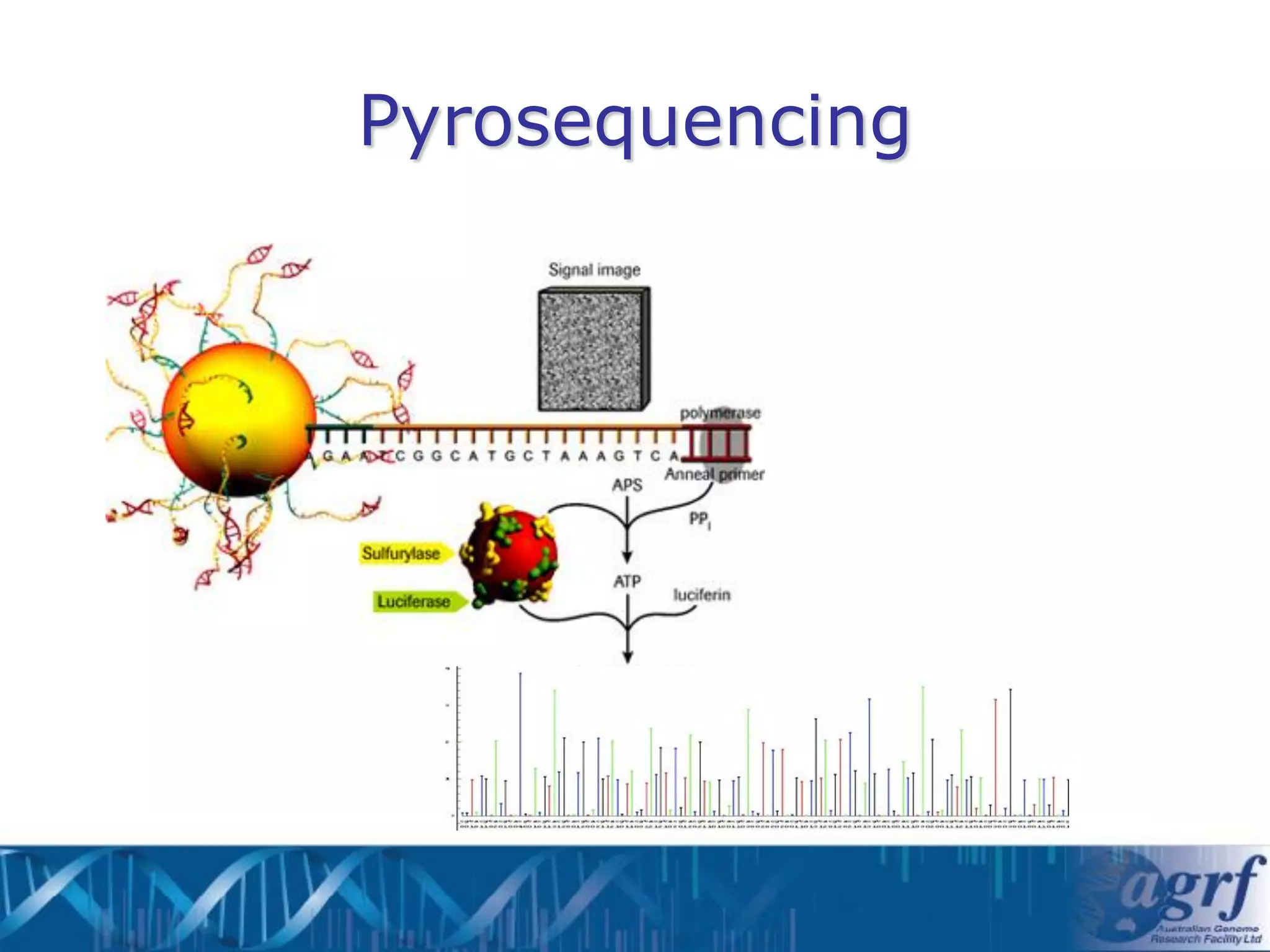 Pyrosequencing
 