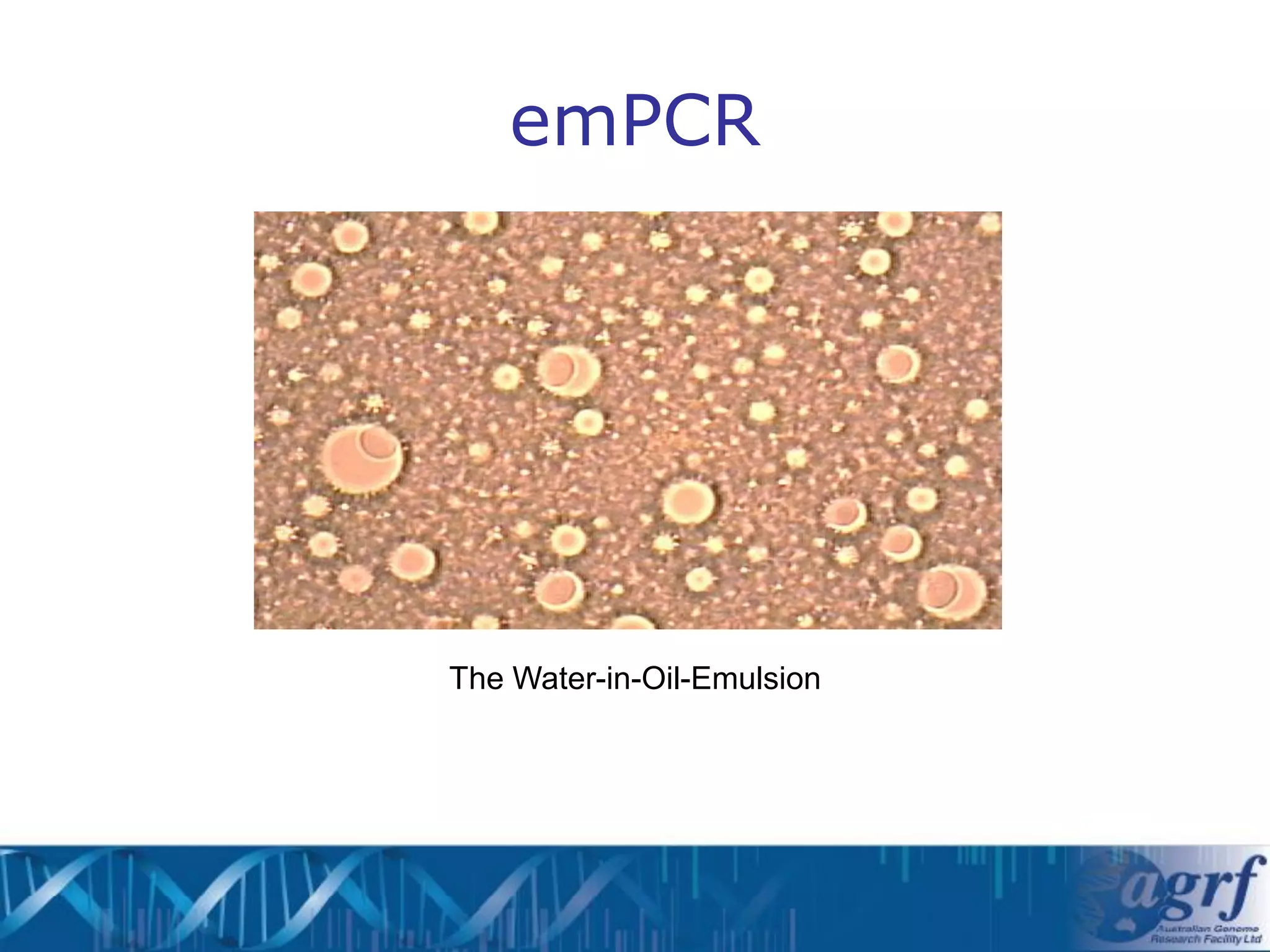 emPCR




The Water-in-Oil-Emulsion
 
