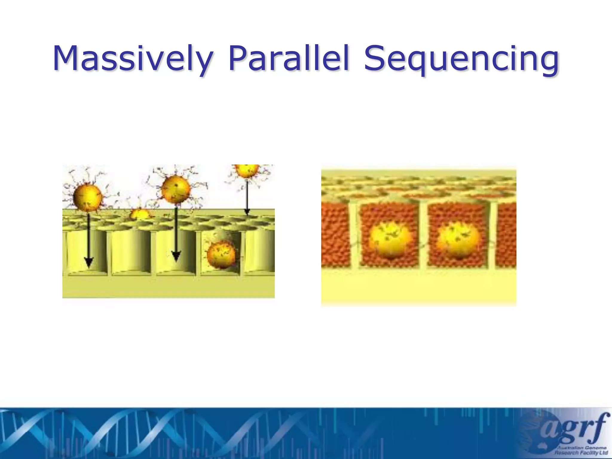 Massively Parallel Sequencing
 