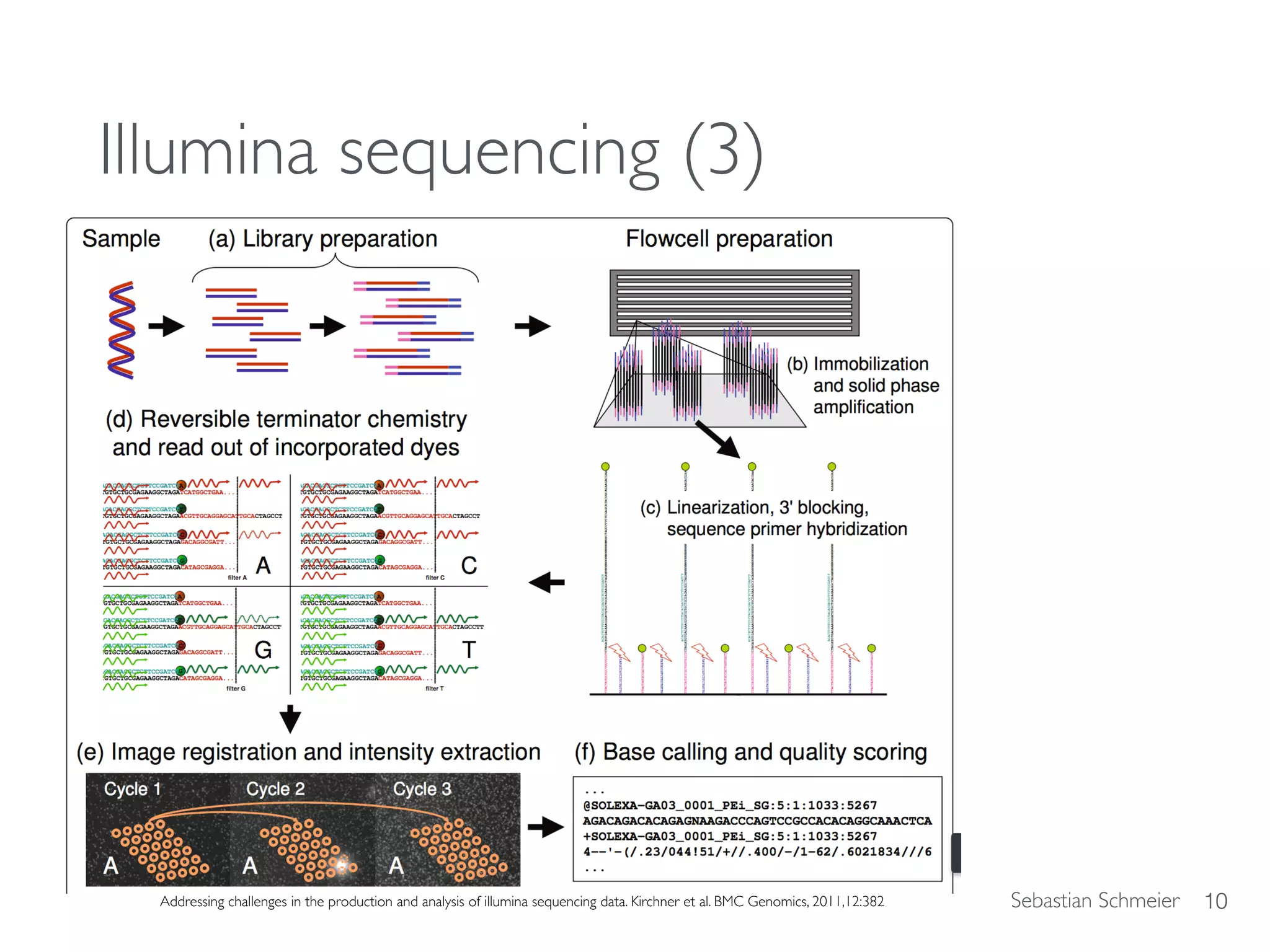 Sebastian Schmeier
Illumina sequencing (3)
10Addressing challenges in the production and analysis of illumina sequencing data. Kirchner et al. BMC Genomics, 2011,12:382
 