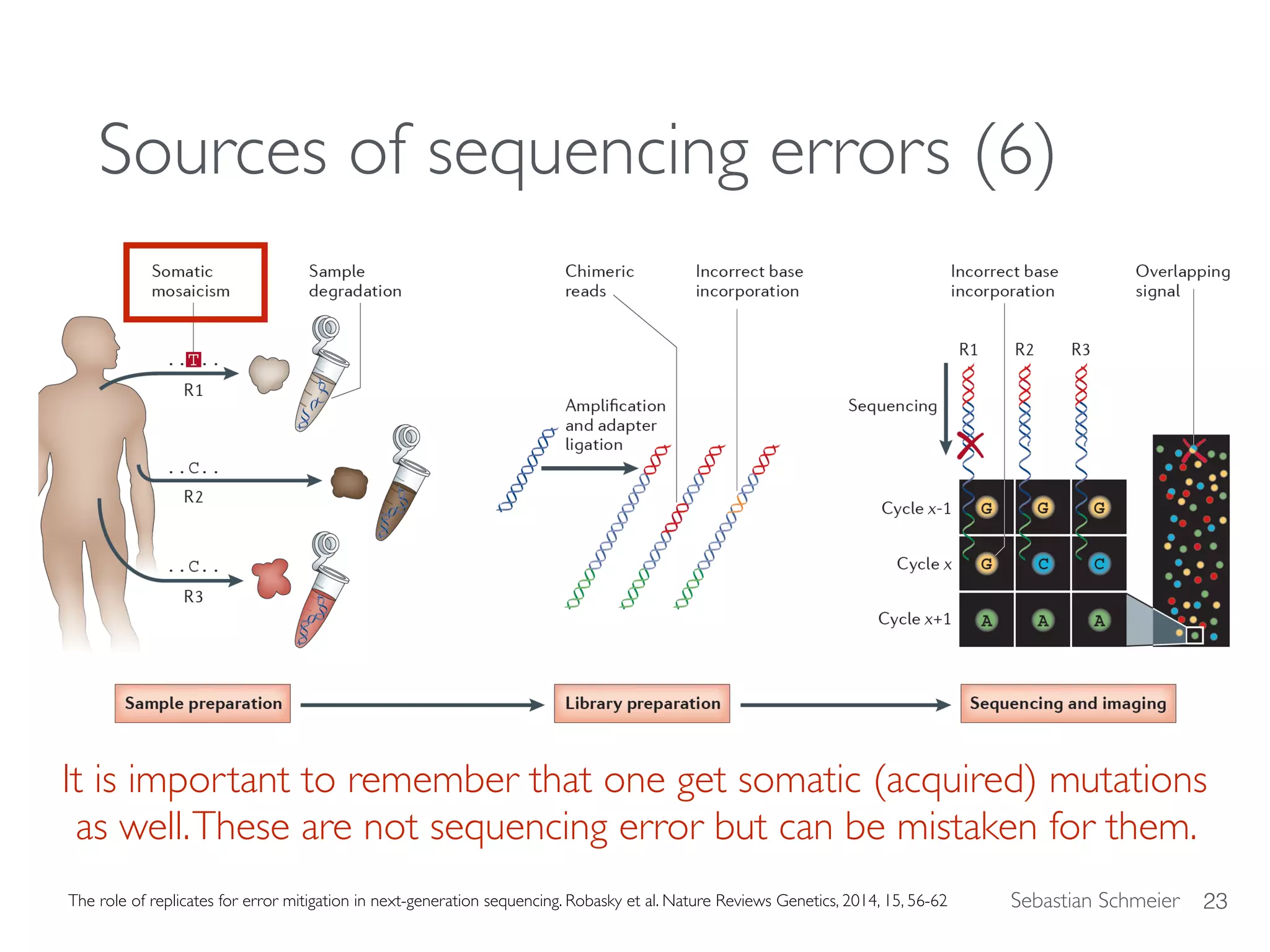Sebastian Schmeier
Sources of sequencing errors (6)
It is important to remember that one get somatic (acquired) mutations
as well.These are not sequencing error but can be mistaken for them.
23The role of replicates for error mitigation in next-generation sequencing. Robasky et al. Nature Reviews Genetics, 2014, 15, 56-62
 