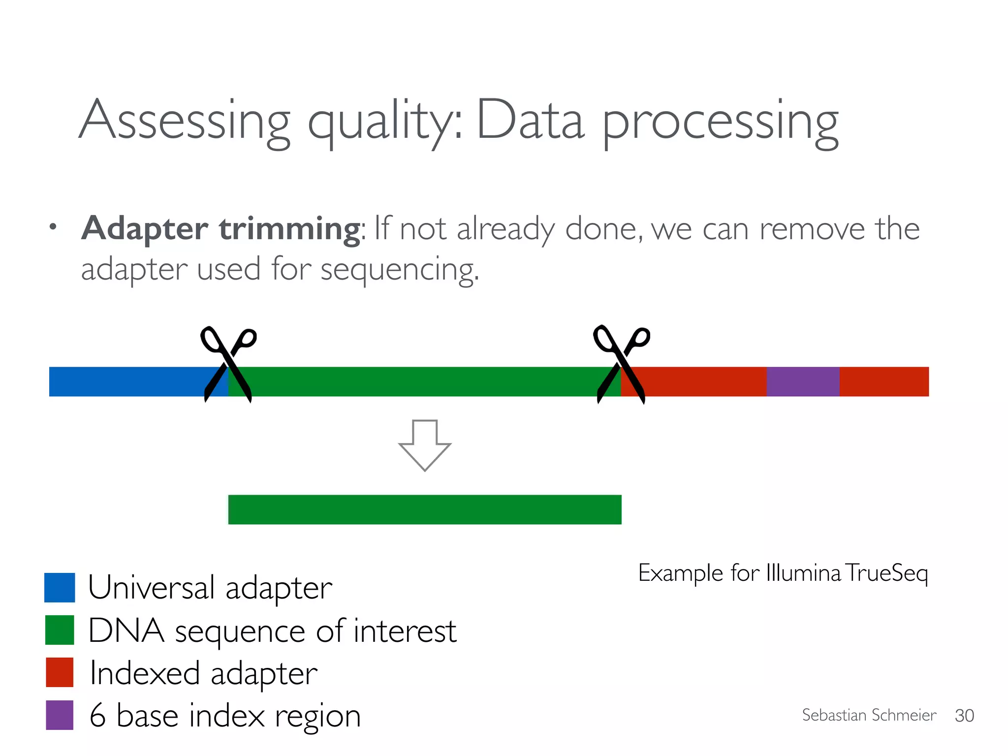 Sebastian Schmeier
Assessing quality: Data processing
• Adapter trimming: If not already done, we can remove the
adapter used for sequencing.
30
DNA sequence of interest
Universal adapter
Indexed adapter
6 base index region
Example for IlluminaTrueSeq
 