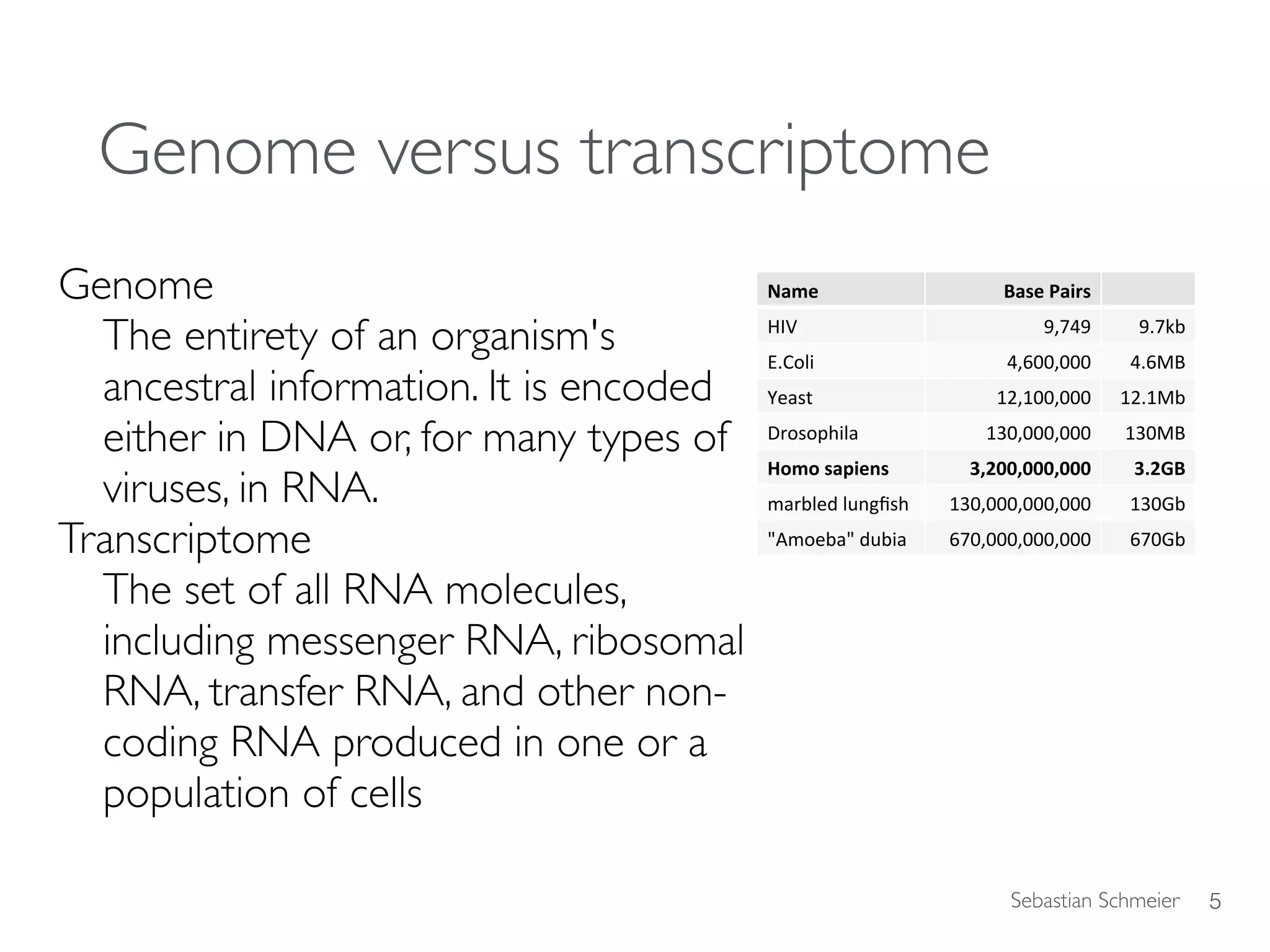 Sebastian Schmeier
Genome versus transcriptome
Genome
The entirety of an organism's
ancestral information. It is encoded
either in DNA or, for many types of
viruses, in RNA.
Transcriptome
The set of all RNA molecules,
including messenger RNA, ribosomal
RNA, transfer RNA, and other non-
coding RNA produced in one or a
population of cells
5
Name	 Base	Pairs	
HIV	 9,749	 9.7kb	
E.Coli	 4,600,000	 4.6MB	
Yeast	 12,100,000	 12.1Mb	
Drosophila	 130,000,000	 130MB	
Homo	sapiens	 3,200,000,000	 3.2GB	
marbled	lungﬁsh	 130,000,000,000	 130Gb	
"Amoeba"	dubia	 670,000,000,000	 670Gb	
 