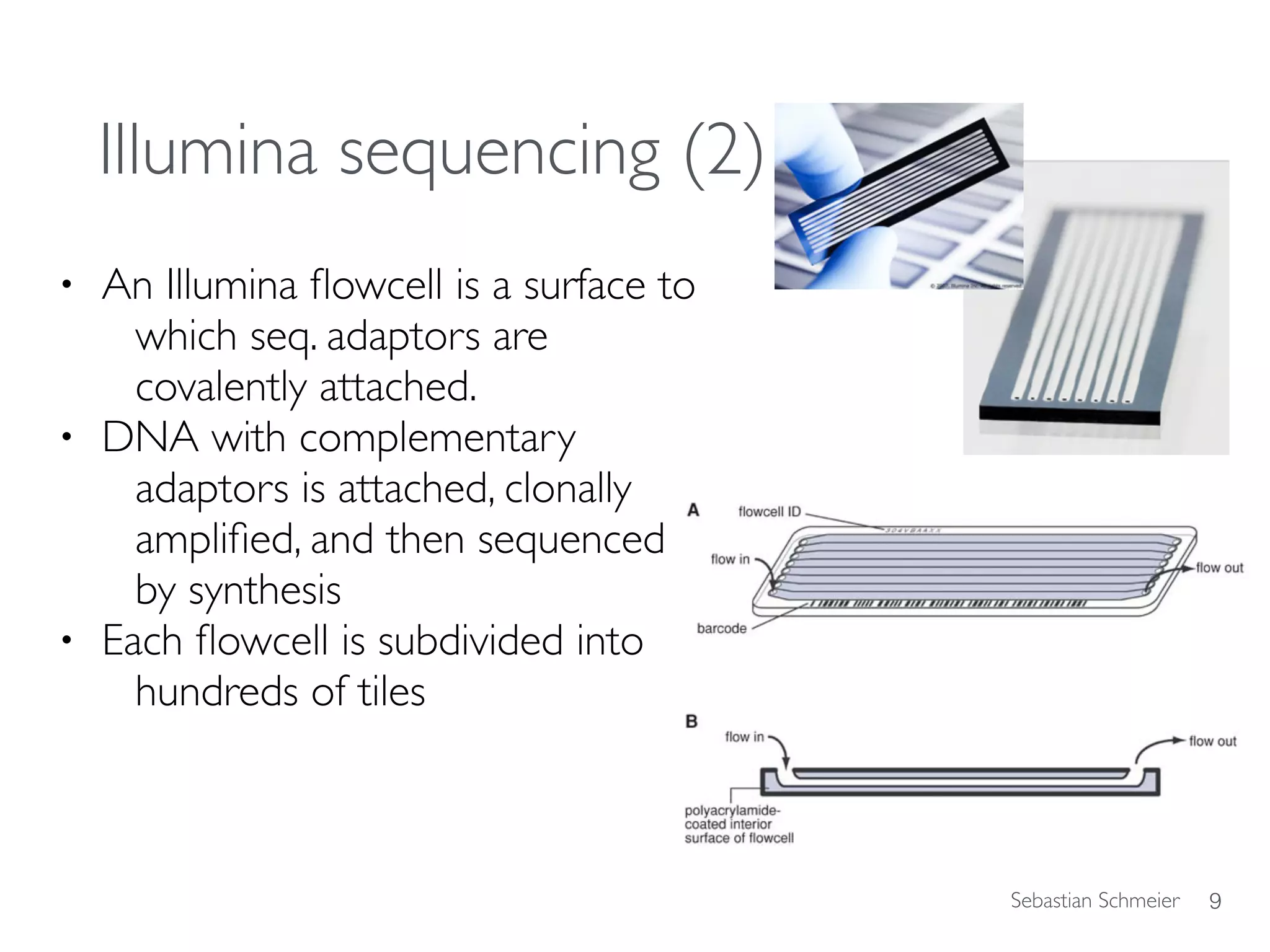 Sebastian Schmeier
Illumina sequencing (2)
• An Illumina ﬂowcell is a surface to
which seq. adaptors are
covalently attached.
• DNA with complementary
adaptors is attached, clonally
ampliﬁed, and then sequenced
by synthesis
• Each ﬂowcell is subdivided into 
hundreds of tiles
9
 