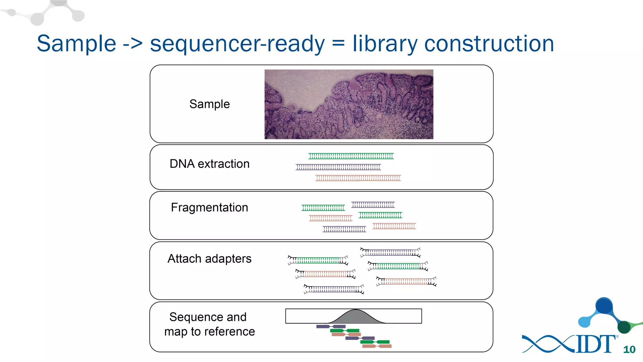 Sample -> sequencer-ready = library construction
10
 