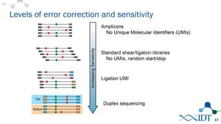 Accurate detection of low frequency genetic variants using novel ...