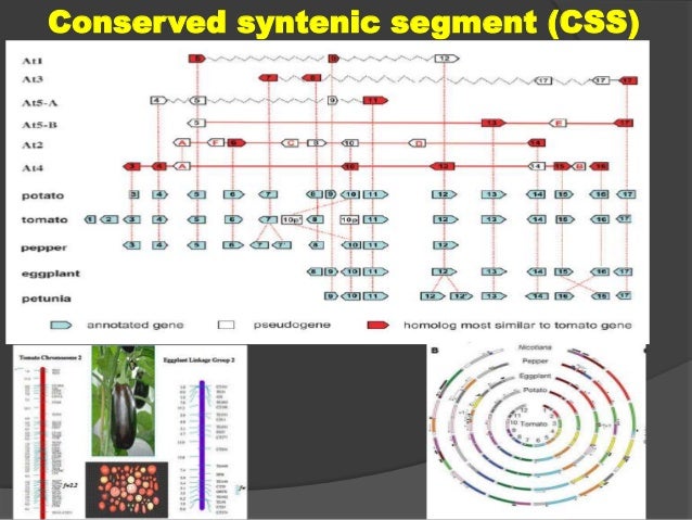 new generation sequencing technologies population genetics Abstract demand for fast, inexpensive, and accurate dna sequencing data has led to the birth and dominance of a new generation of sequencing technologies. new generation sequencing technologies population genetics Abstract demand for fast, inexpensive, and accurate dna sequencing data has led to the birth and dominance of a new generation of sequencing technologies.