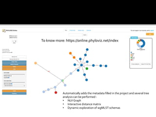 Automatically adds the metadata filled in the project and several tree
analysis can be performed :
• NLVGraph
• Interactive distance matrix
• Dynamic exploration of wgMLST schemas
To know more: https://online.phyloviz.net/index
 