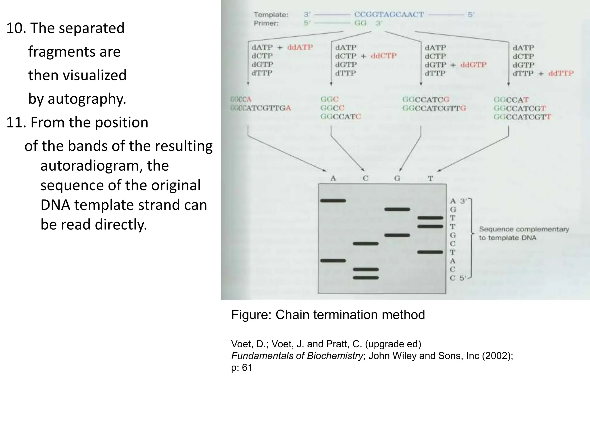 Next Generation Sequencing and its application | PPT