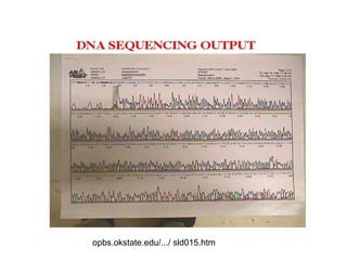 Next Generation Sequencing and its application | PPT