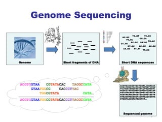 Next Generation Sequencing and its application | PPT