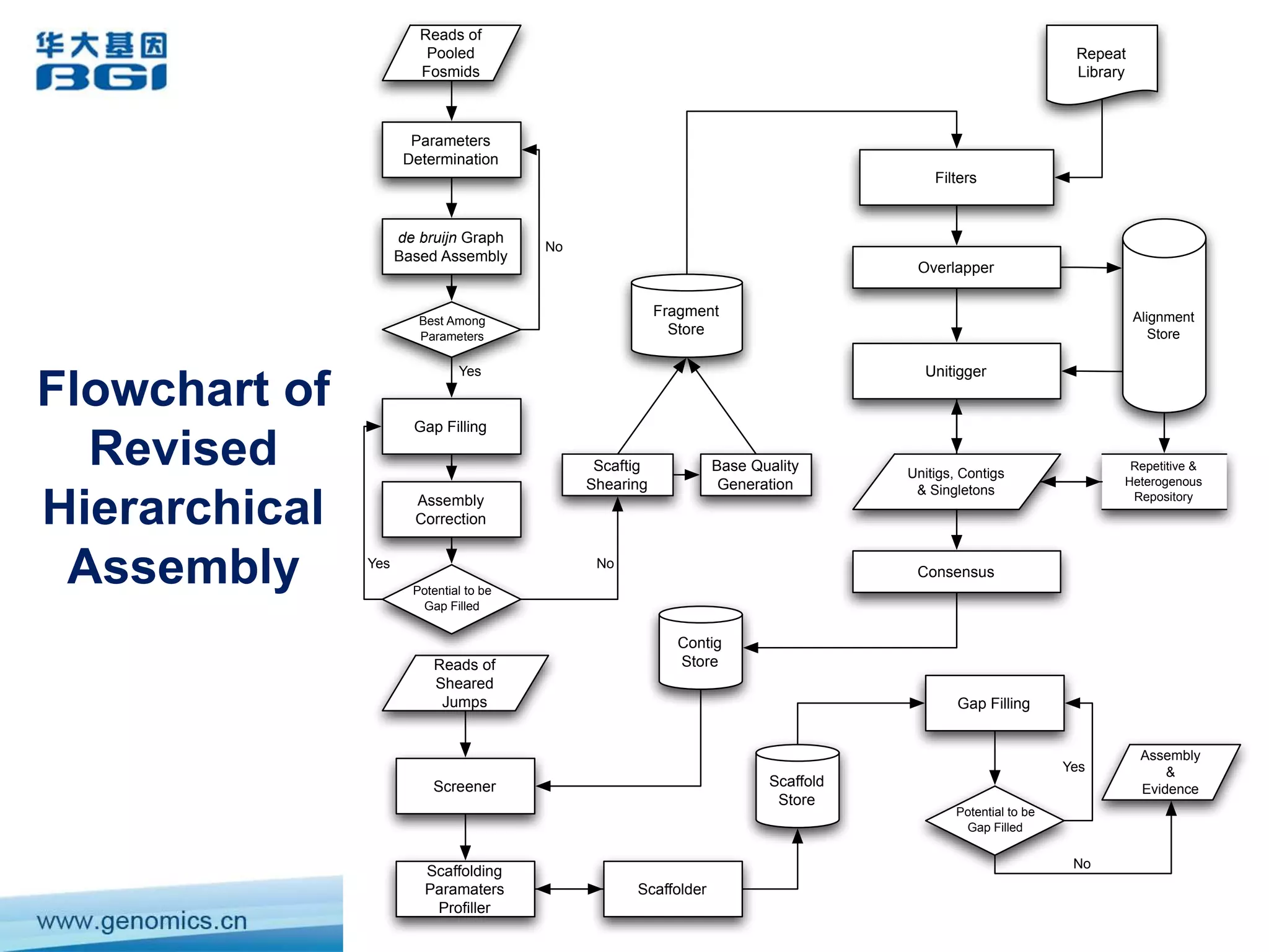 Revised Hierarchical AssemblyBuild libraries hierarchicallyUsing Fosmid clonesAvoid combining two haploidsAssembly hierarchicallyCombines de Bruijn graph & OLC strategiesProviding an affordable sequencing solution to  diploid & complex genome 