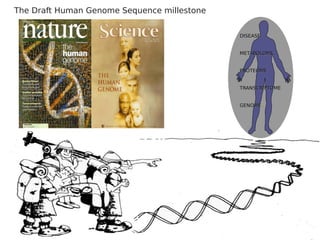 The Draft Human Genome Sequence millestone


                                             DISEASE


                                             METABOLOME


                                             PROTEOME


                                             TRANSCRIPTOME


                                             GENOME
 