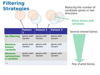 Filtering
                                                      Reducing the number of
Strategies                                            candidate genes in two
                                                      directions

                                                          Share Genes with
                                                          variations

               Patient      Patient 2    Patient 3
               1                                         Several shared Genes
No filtering   genes with   genes with   genes with
               variant      variant      variant


Remove         genes with   genes with   genes with
known          variant      variant      variant
variants
Remove         genes with   genes with   genes with
synonymou      variant      variant      variant
s variants
...
                                                          Few shared Genes
 